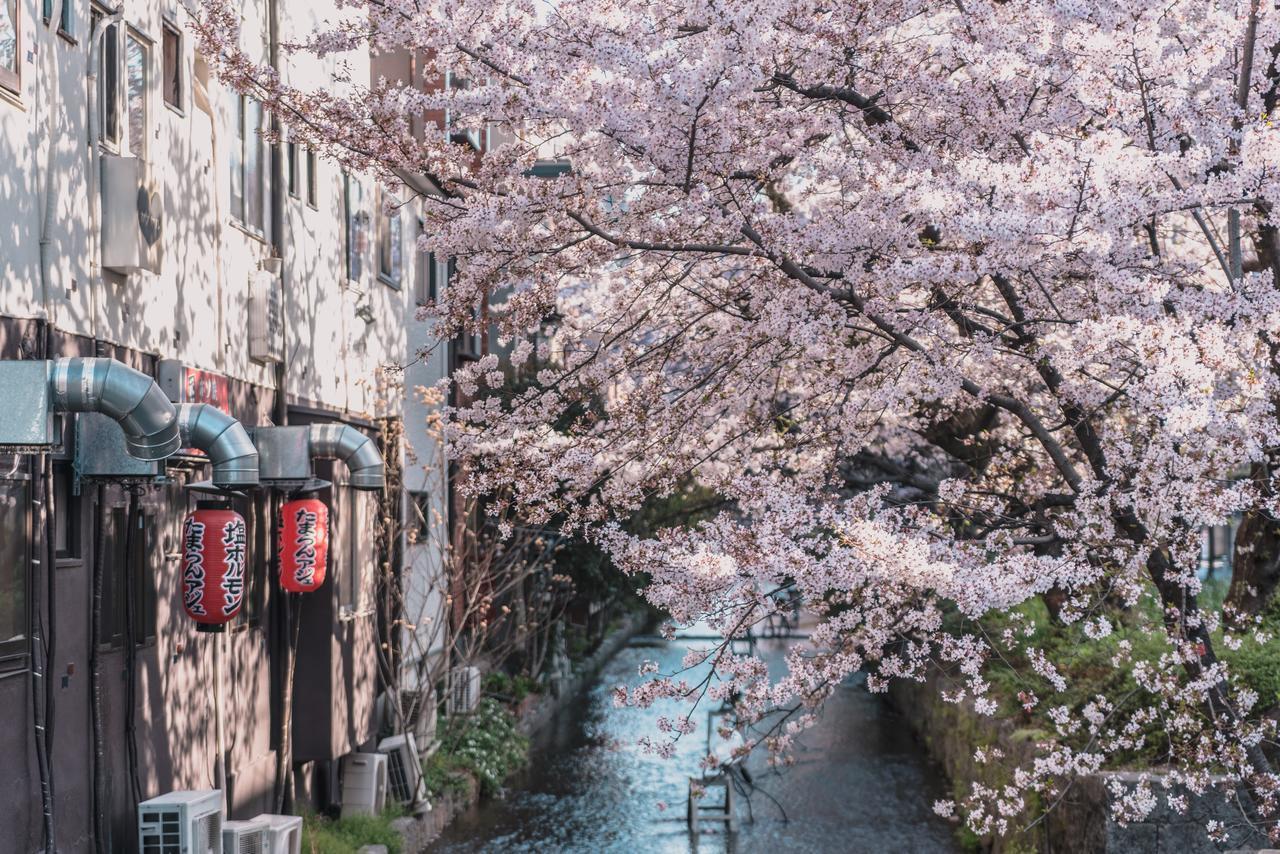 マイ K ハウス 4* 京都市